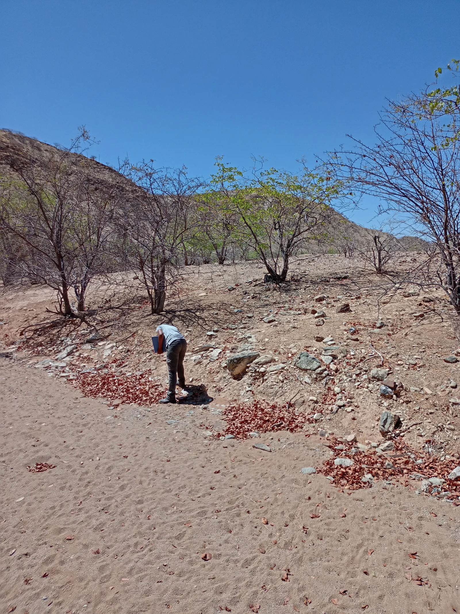 Eco-Wise Environmental Consulting — fieldwork image 15