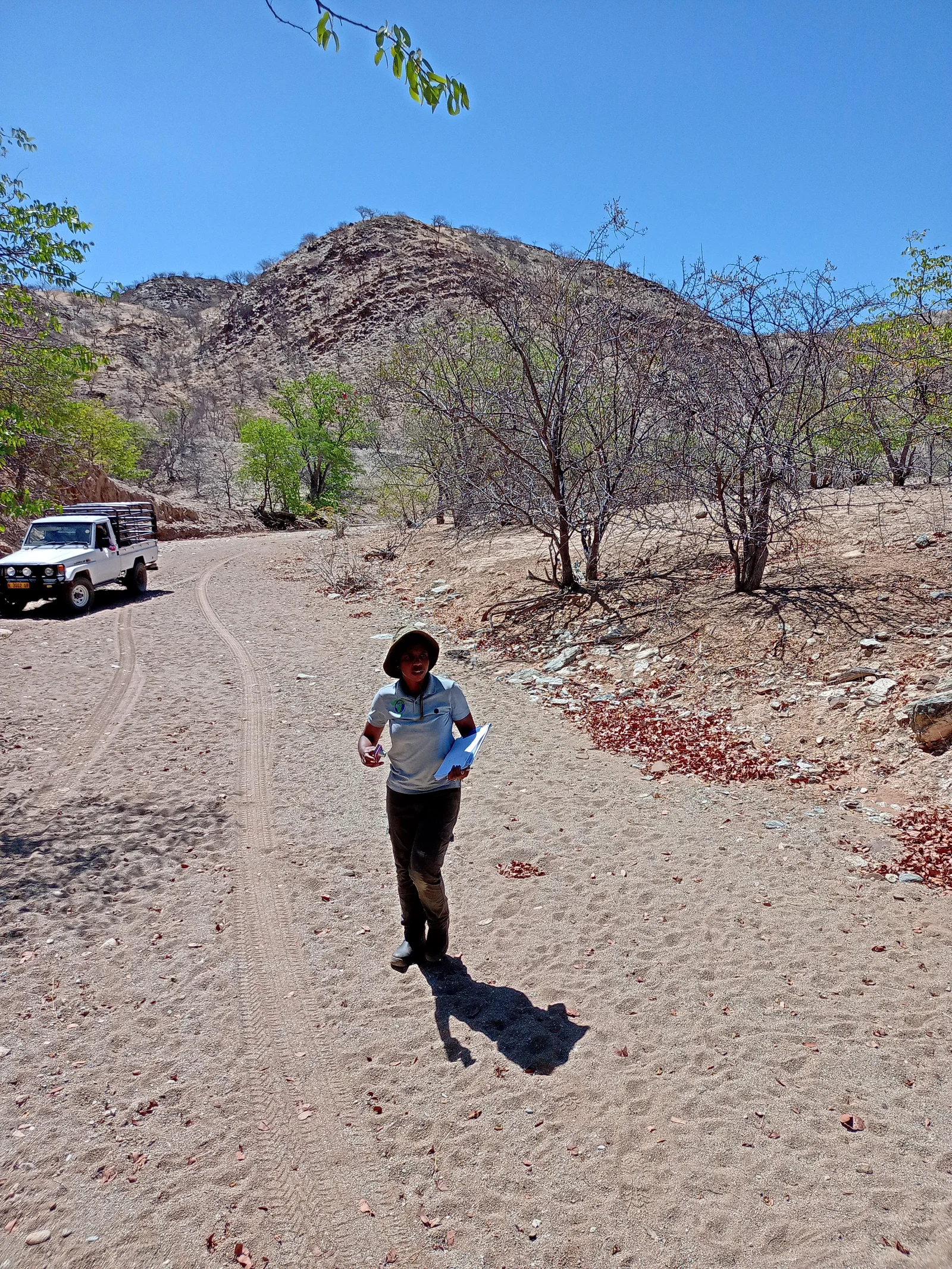 Eco-Wise Environmental Consulting — fieldwork image 16