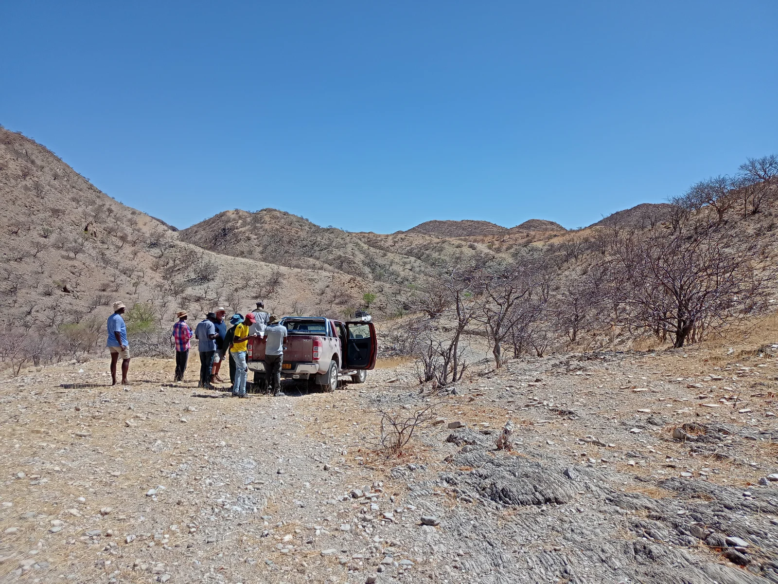 Eco-Wise Environmental Consulting — fieldwork image 18