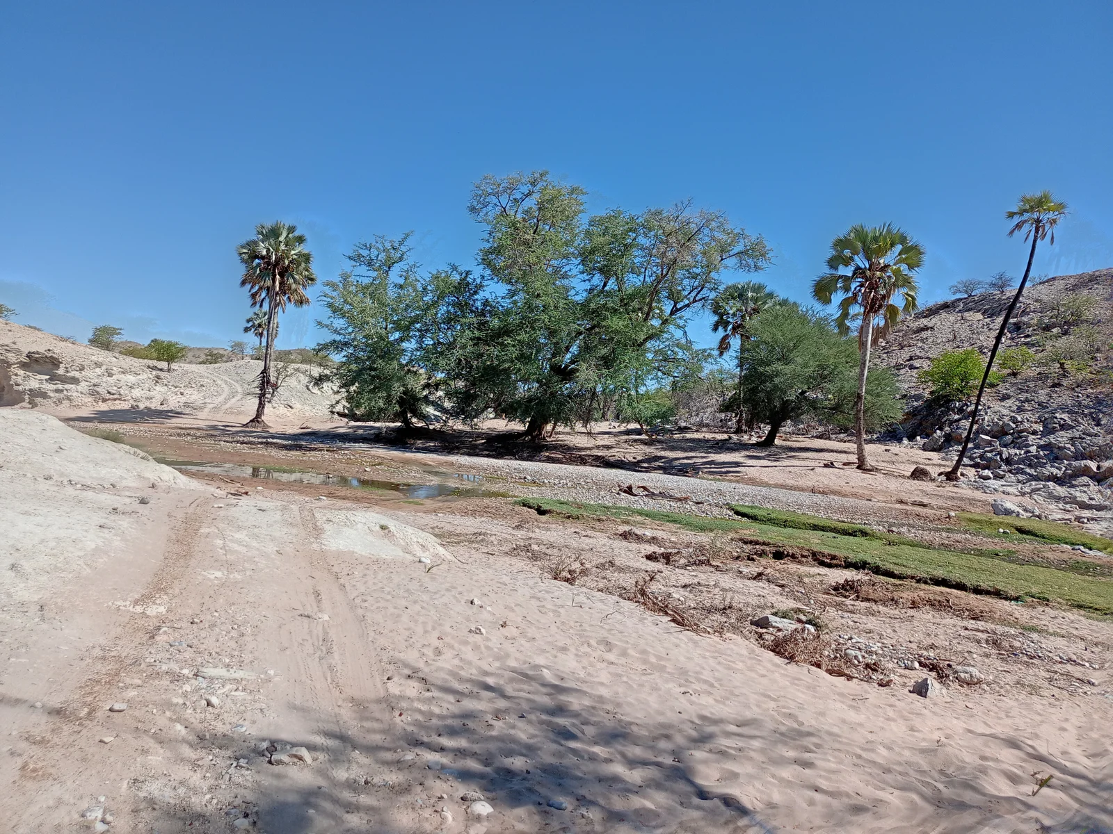 Eco-Wise Environmental Consulting — fieldwork image 19