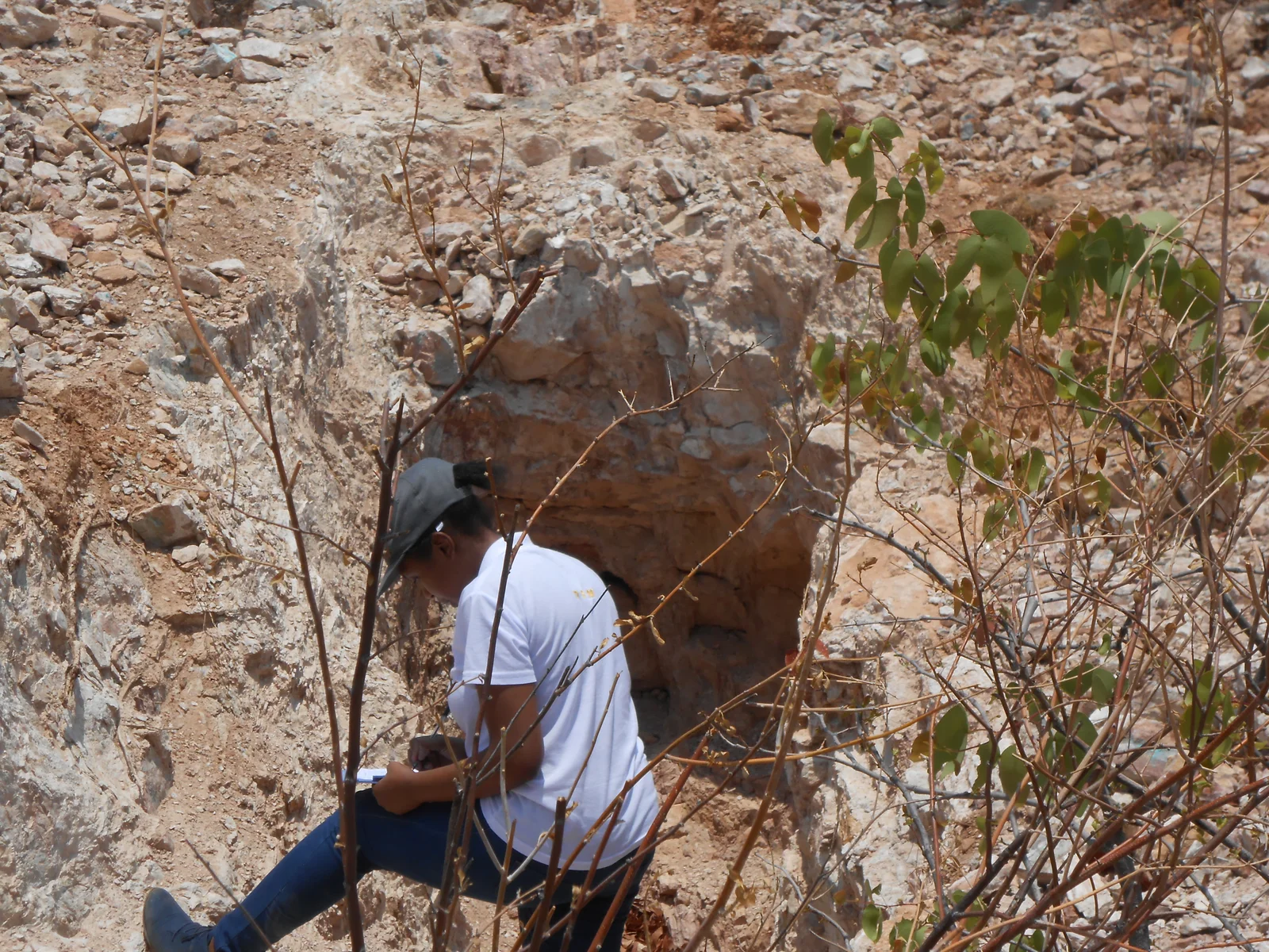 Eco-Wise Environmental Consulting — fieldwork image 6